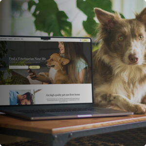 SEO-optimized website design for Dutch, featuring clean aesthetics and enhanced functionality for better user engagement.